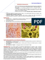 Salmonella, Shigella, V. Cholerae y E. Coli