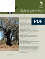 ScatteredPaddockTrees[1]
