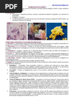 Download Staphylococcus Aureus Campylobacter y Helicobacter Pylori by Jos Gabriel Quiroga Villagra SN46120978 doc pdf