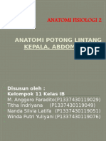 Anatomi Potong Lintang Kls 1b