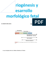 Embriogenesis y Desarrollo Morfologico Fetal