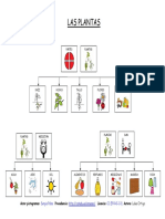 LAS PLANTAS Mapas Conceptuales