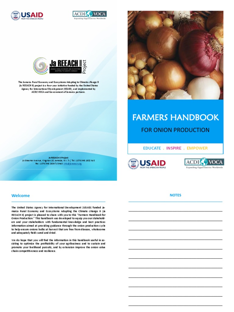 Farmer's Handbook For Onion Production PDF PDF Onion Branches Of