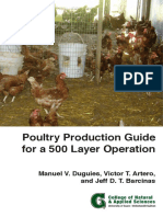 Poultry Production for a 500 Layer Operation.pdf