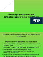 Общие принципы и методы остановки кровотечений у животных