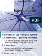 WEEK8 Nervous System PDF