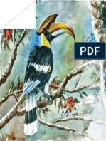 Hornbill Painting