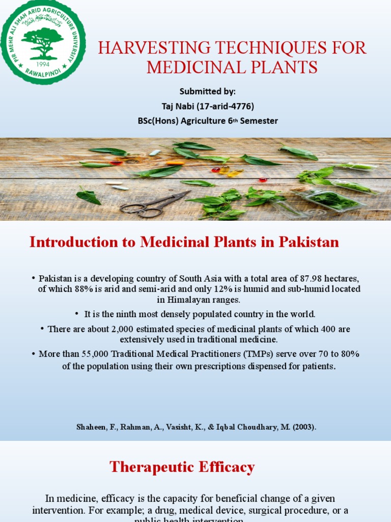 Harvesting Techniques of Medicinal Plants | PDF | Pruning | Trees
