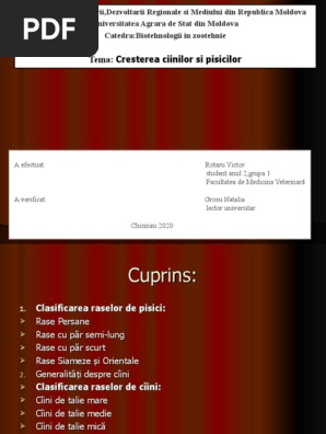 Ciini Si Pisicile Rotaru  PDF