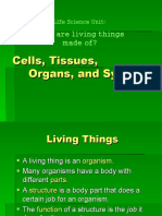 How Living Things Are Organized from Cells to Systems