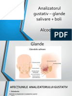 Analizator Gustativ Boli Alcoolism