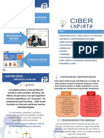 Guia_ciber_2019...pdf