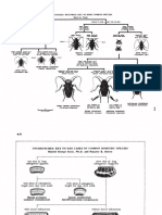 Cockroaches: Pictorial Key To Some Common Species: Harry D. Pratt