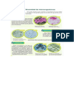 Diversidad de Microorganismos