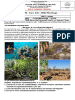 Guia de Trabajo No Presencial 10° Biología PDF