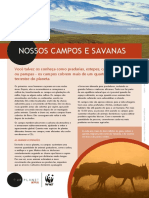 Nossos Campos e Savanas WWF