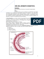guia aparato digestivo 2019.pdf