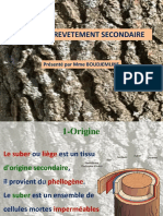 Cours 7 - Tissu de Revêtement Secondaire PDF