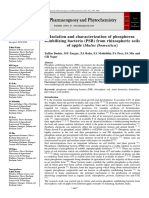 AISLAMIENTO Y CARACTERIZACION DE FOSFORO. BACTERIAS SOLUBILIZANTES ( PSB) DE SUELOS RIZOSFERICOS DE MANZANA ( MALUS DOMESTICA).pdf