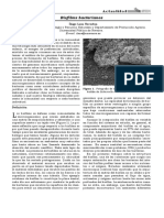 biofilms bacterianos.pdf