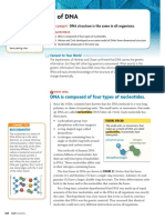 Structure of DNA: DNA Is Composed of Four Types of Nucleotides