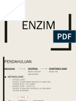 Enzim1 PDF
