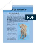 167373491-101-Trucos-Caninos.pdf