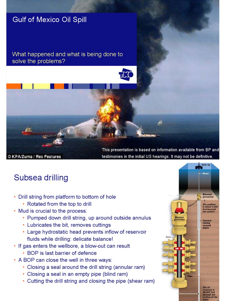 BP Oil Spill 2010 | PDF