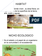 ECOSISTEMA