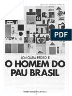 Filme O Homem do Pau Brasil