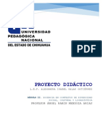 13 Proyecto Didáctico