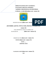 ESQUEMA DEL PROYECTO DE INVESTIGACION (Ultimo 2019) Desarrollado