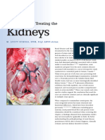 Kidneys: Evaluating and Treating The