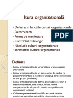 Management_9 (Cultura)