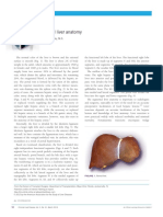 Normal Liver Anatomy: Review
