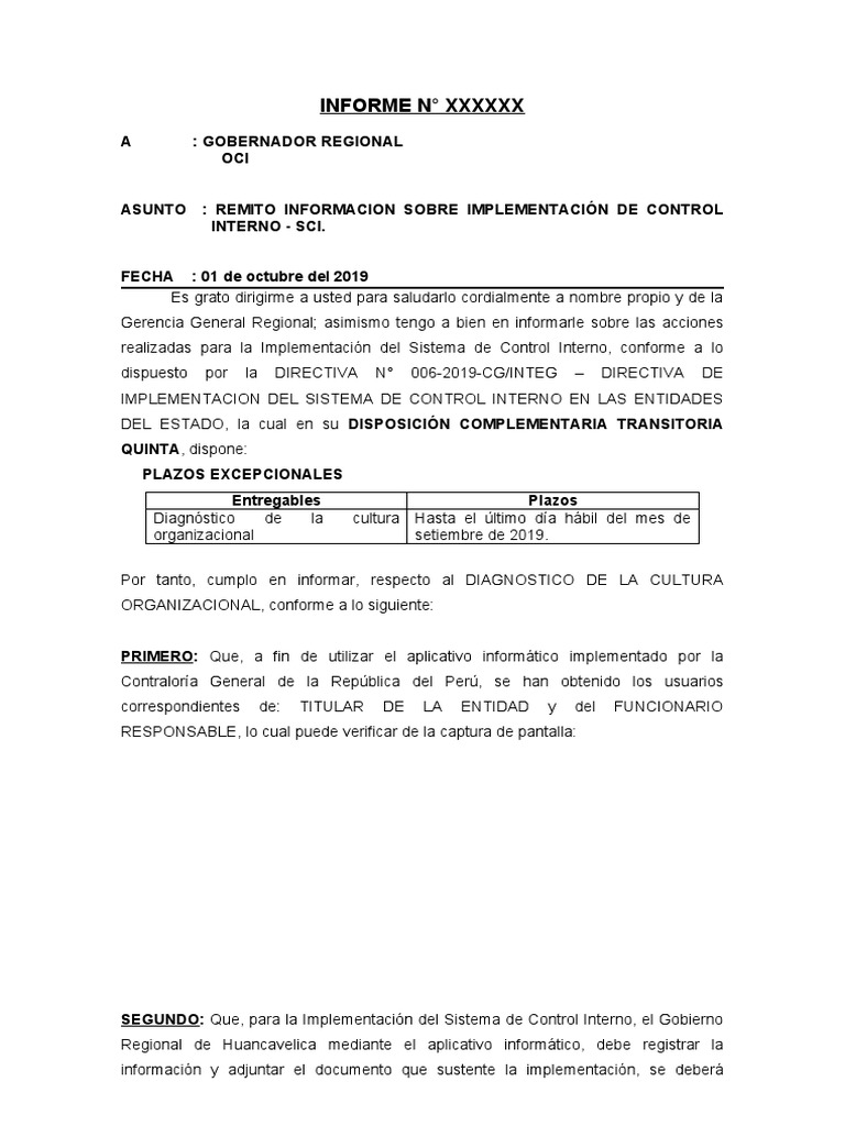 Informe de Control Interno | PDF | Servidor (Computación) | Business