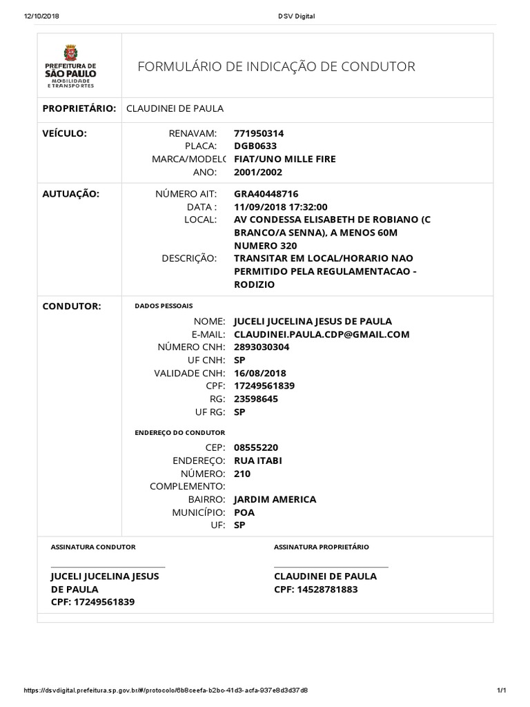 DSV Digital PDF | PDF