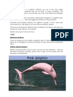 My favorite mammal is a dolphin