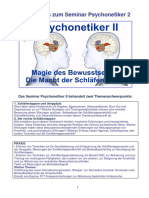 Psychonetik 2 Info.pdf