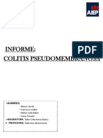Informe Clostridium Difficile PDF