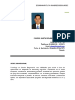 CV Edinson Ramirez PDF