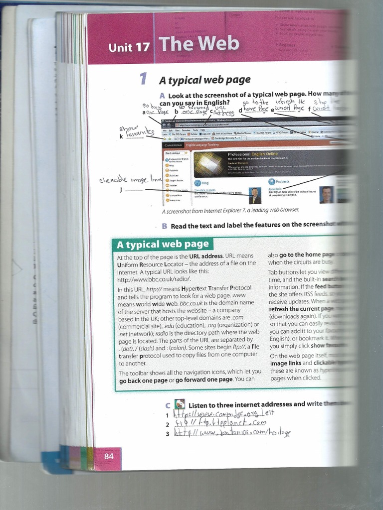 Book The Web | PDF