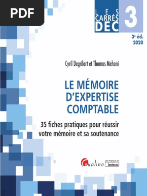 Dec 3 Le Memoire Dexpertise Comptable Pdf Pdf Services Financiers Comptabilite