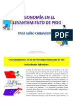 ergonomaenellevantamientomanualdecargas-130412080244-phpapp02.pdf