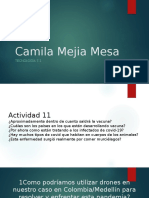 Camila Mejia Mesa