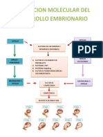 Mapas de Embrio