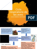 Ciclo Respiratorio de Las Aves