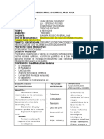 Plan de Desarrollo Curricular de Aula