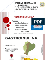 Exposiciòn Emprendimiento Gastroinulina