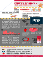 Infograma Quemaduras Quimicas Por Agresion PDF